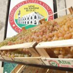 Il Palazzo del Vino di Lonigo accoglie il Consorzio Tutela Vini Gambellara