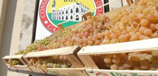 Il Palazzo del Vino di Lonigo accoglie il Consorzio Tutela Vini Gambellara