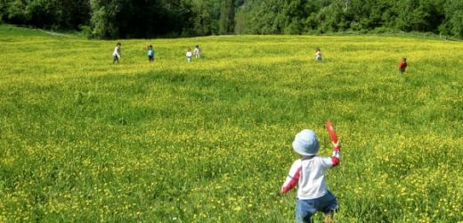 Network Euganeo, la rete che sostiene la crescita e l’educazione coinvolge 2923 bambini