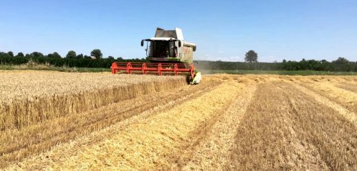 Filiera corta? La trasformazione e vendita dei prodotti biologici in azienda