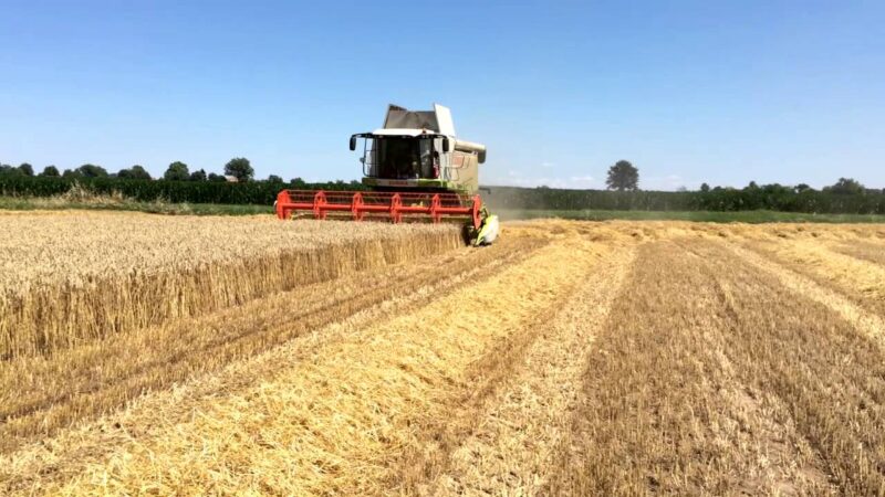 Filiera corta? La trasformazione e vendita dei prodotti biologici in azienda