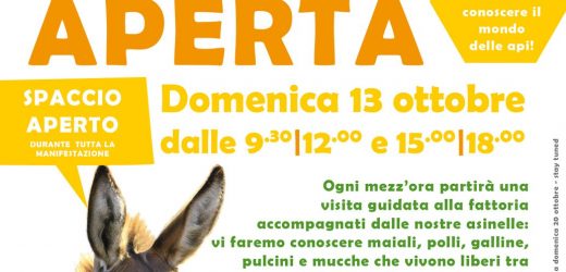 Domenica 13 Ottobre, il turismo lento promosso dalle Fattorie Didattiche Vicentine