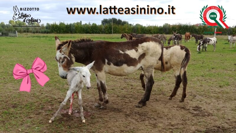 Bionatura Srl, il Partner ideale della nostra Cosmesi
