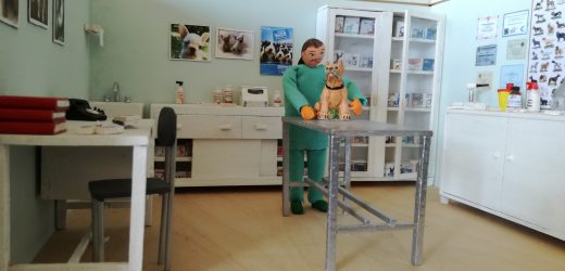 Il Veterinario, sempre a supporto di aziende e famiglie.