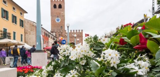 Noale in Fiore Domenica 12 Aprile 2026