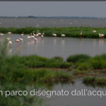 Parco Delta del Po, uno scrigno della Biodiversità tra Veneto ed Emilia Romagna