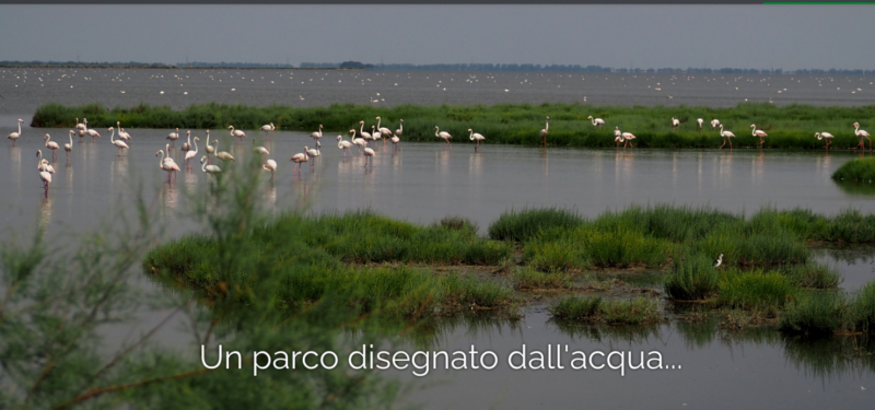 Parco Delta del Po, uno scrigno della Biodiversità tra Veneto ed Emilia Romagna